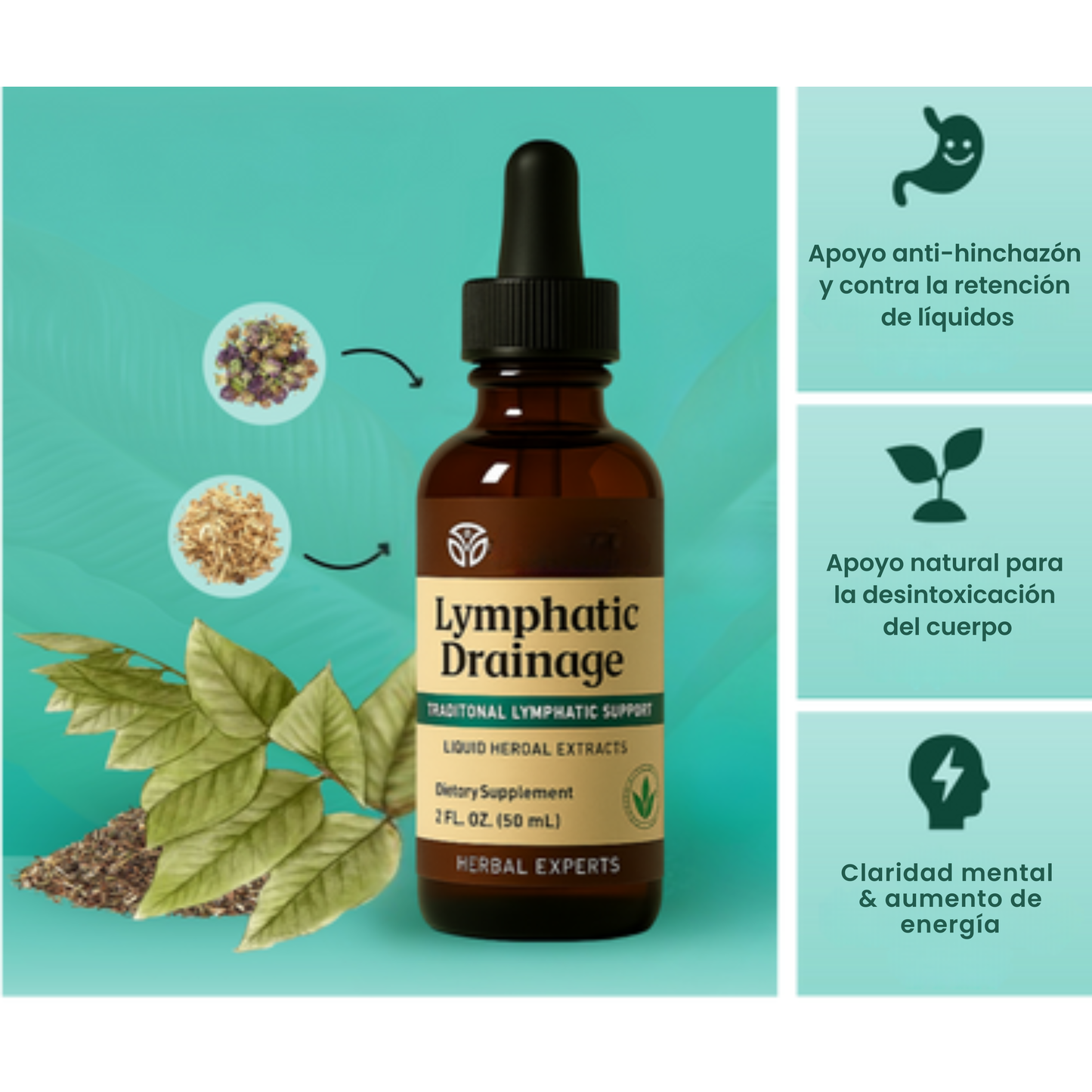 Drenaje Linfático Líquido – Rostro Afinado, Piernas Ligeras, Vientre Plano
