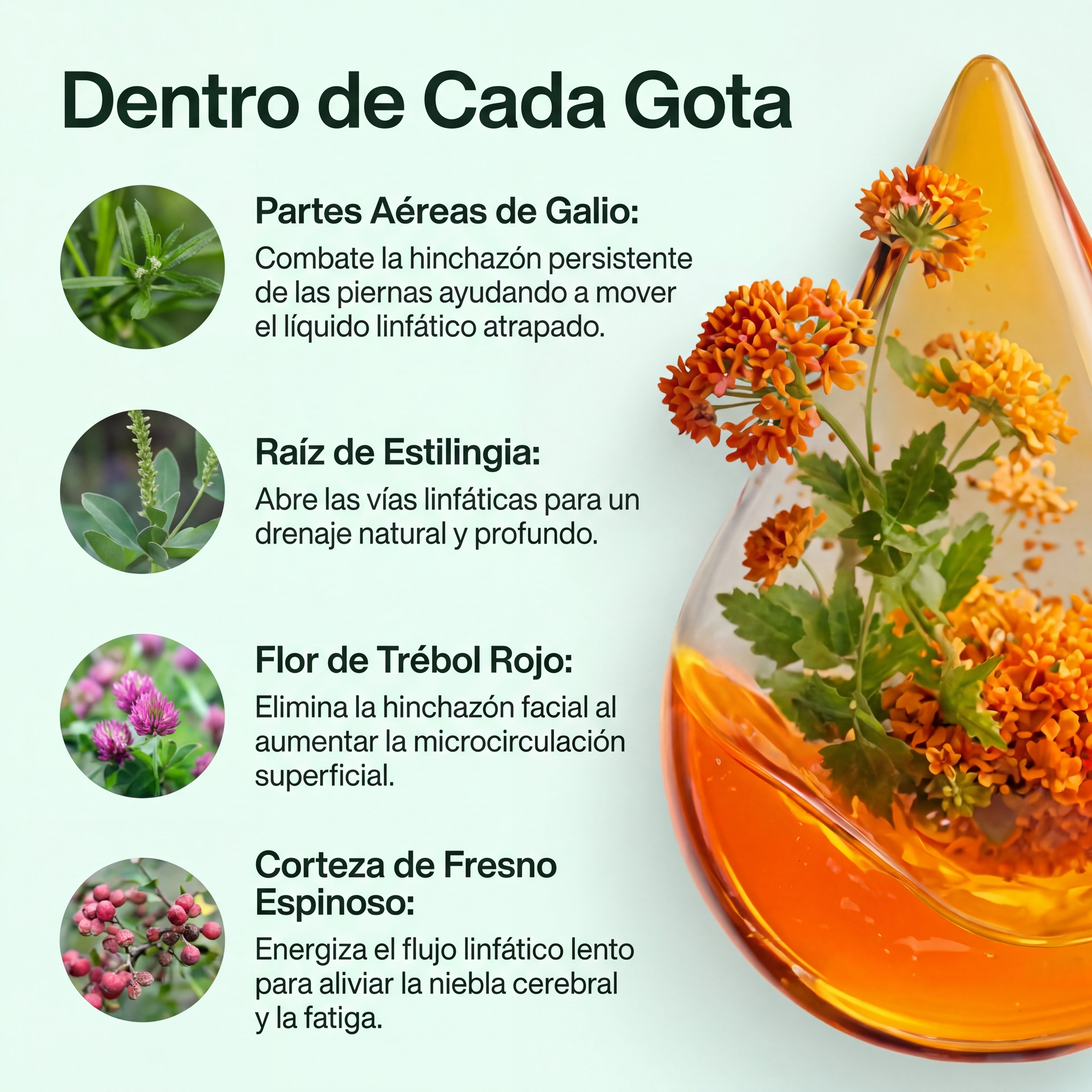 Drena+ Linfático Líquido